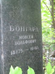 Бонгард Моисей Вольфович, Уфа, Сергиевское кладбище