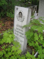 Левко Василий Георгиевич, Уфа, Южное кладбище