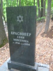 Краснопер Соня Моисеевна, Уфа, Южное кладбище