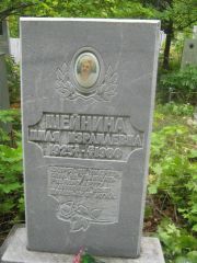 Шейнина Циля Израилевна, Уфа, Южное кладбище