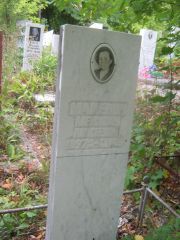 Маневич Александра Моисеевна, Уфа, Южное кладбище
