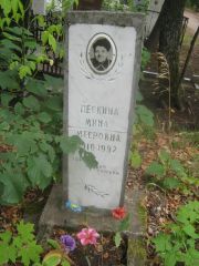 Пескина Мина Мееровна, Уфа, Южное кладбище