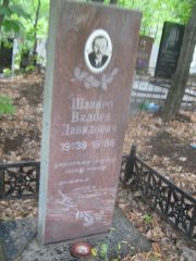 Шапиро Вилорд Давидович, Уфа, Южное кладбище