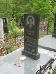 Боровская Раиса Давидовна, Уфа, Южное кладбище