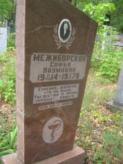 Межиборская Софья Наумовна, Уфа, Южное кладбище