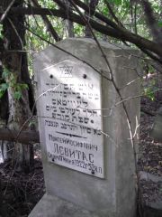 Левитас Моисей Иосифович, Ульяновск, Старое еврейское кладбище