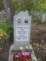 Липенгольц Ида Павловна, Ульяновск, Северное (Ишеевское) кладбище