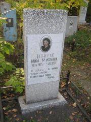 Левитас Мира Моисеевна, Ульяновск, Северное (Ишеевское) кладбище