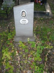 Фрейдина Мирра Аронович, Ульяновск, Северное (Ишеевское) кладбище
