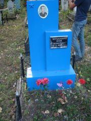 Шепшелевич Наум Соломонович, Ульяновск, Северное (Ишеевское) кладбище