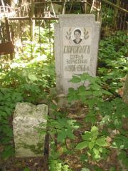 Старожилец Софья Борисовна, Владимир, Князь-Владимирское (городское) кладбище