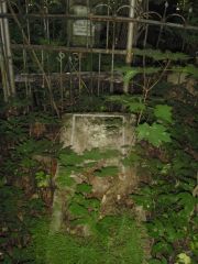 (заброшенная могила) , Владимир, Князь-Владимирское (городское) кладбище