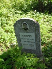 Пиприс Екатерина Семеновна, Владимир, Князь-Владимирское (городское) кладбище