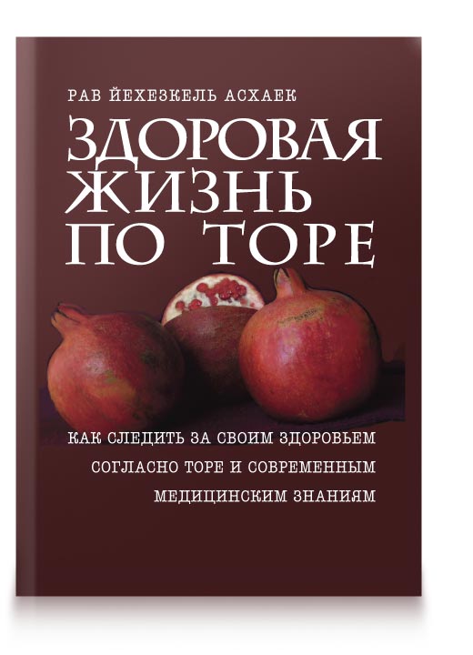 Что такое Тора? | Энциклопедия иудаизма онлайн на Толдот.ру