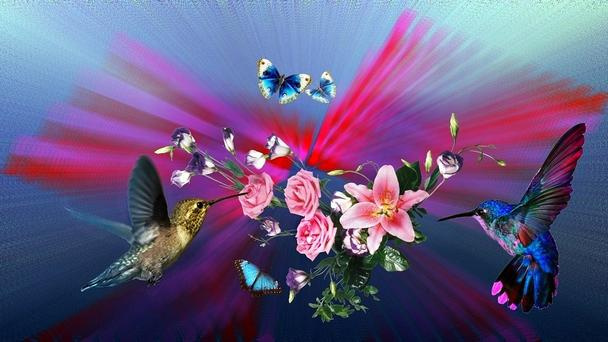 Урок для женщин. Искусство быть женой 1