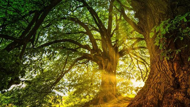 Жить для себя — это жить для других 1. Я не один…