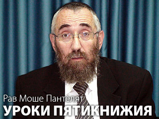 Уроки Пятикнижия — Бемидбар