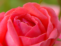 Урок для женщин. Испытания и как их преодолевать 18. Противоположности как инструмент роста и развития Урок для женщин. Испытания и как их преодолевать 18. Противоположности как инструмент роста и развития