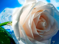 Урок для женщин. Уважение родителей и преемственность поколений 9. Последний урок цикла: вопросы и ответы