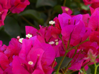 Урок для женщин. Шатер Рахели 18. Что такое «хорошо» и что такое «плохо»? Урок для женщин. Шатер Рахели 18. Что такое «хорошо» и что такое «плохо»?