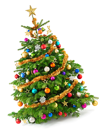 Главное праздничное дерево: как появилась традиция наряжать елку на Новый год