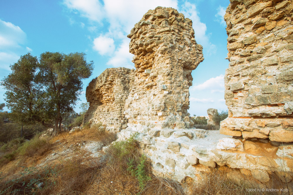  Андрей Колб  — Руины крепости в Ашкелоне