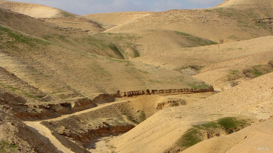 Рав Авраам Коэн  — Старая дорога между Йерихо и Иерусалимом