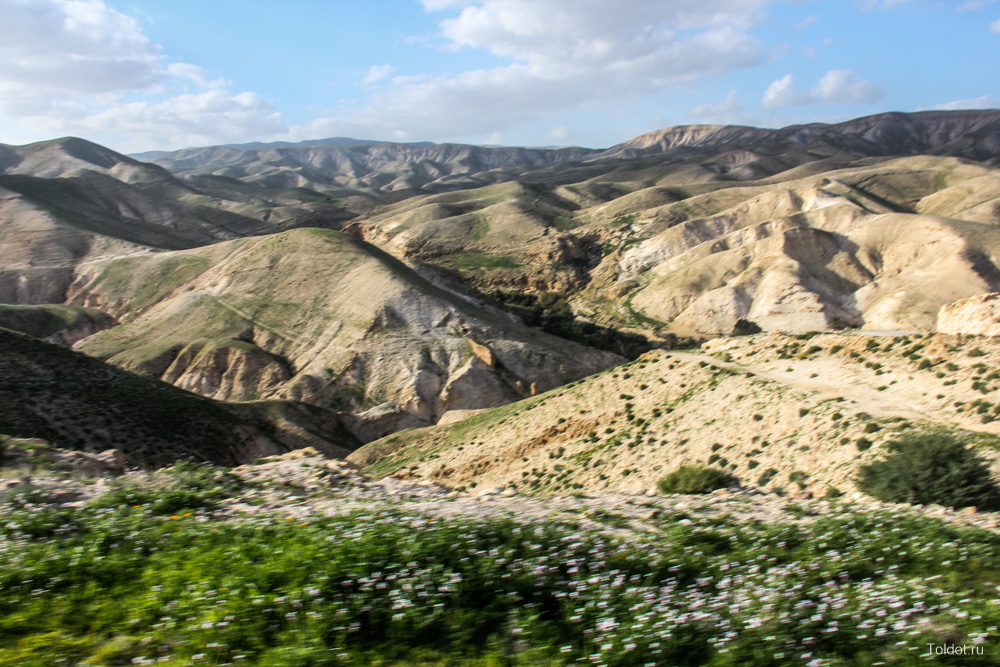 Рав Авраам Коэн  — Иудейская пустыня в районе Вади Кельт