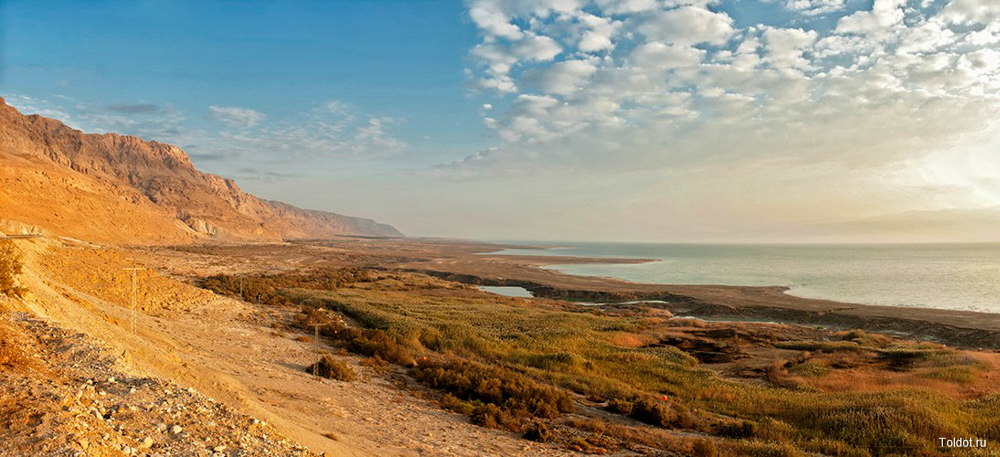  Макс Шамота  — Мертвое море. Пейзаж