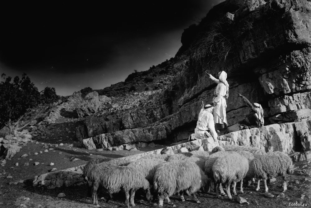   Неизвестный автор  — Ночные пастушеские сцены