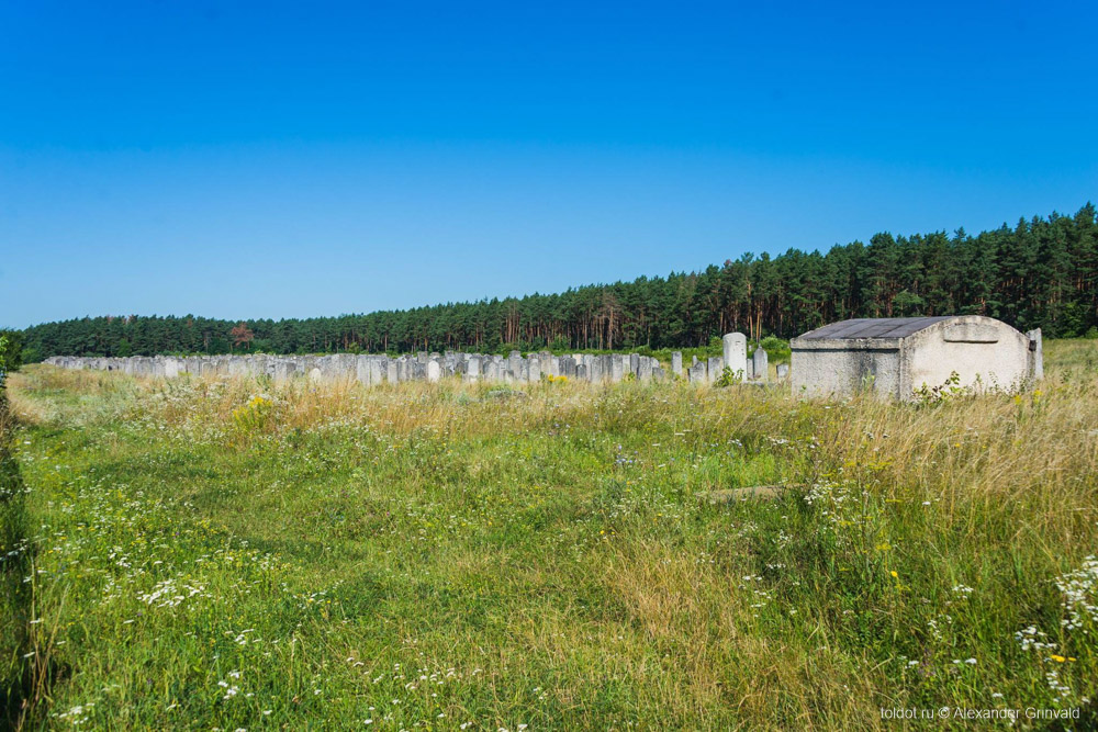  Александр Гринвальд  — Еврейское кладбище местечка Броды