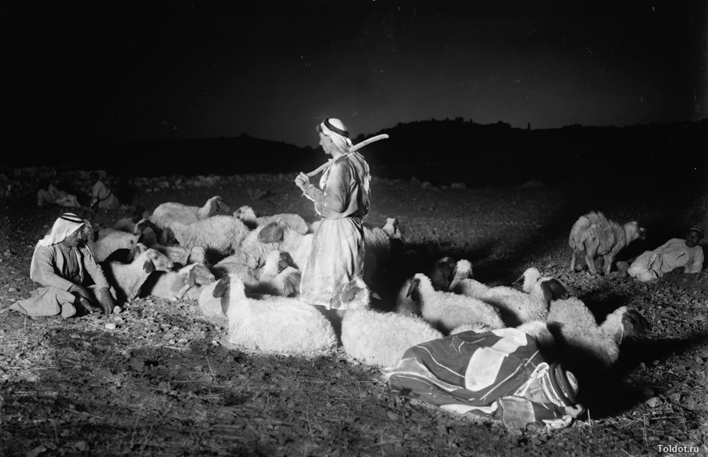  Неизвестный автор  — Пастушеские сцены. Пастухи следят за стадом в ночное время
