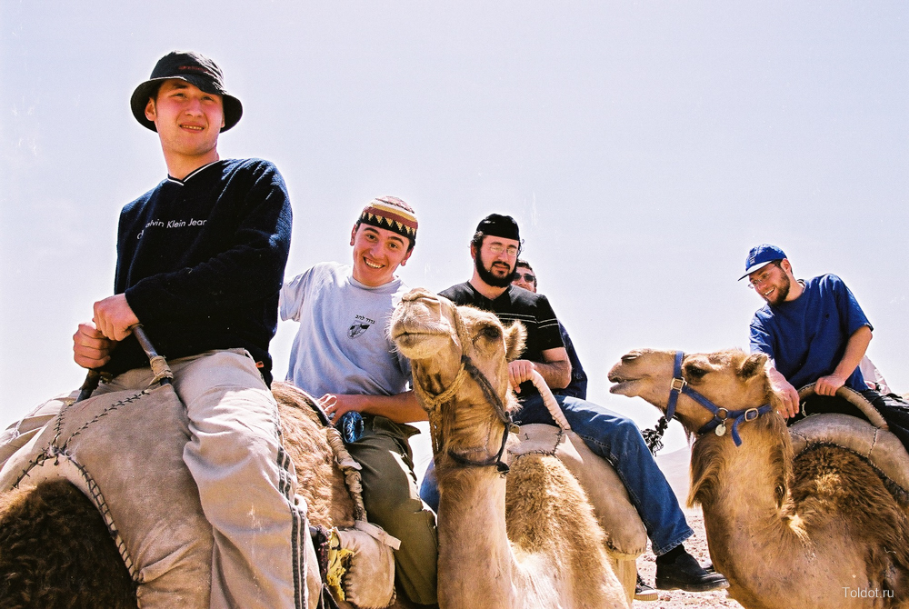 Редакция Толдот  — Ешива Толдот Йешурун в путешествии по Мертвому морю на верблюдах в 2004 году