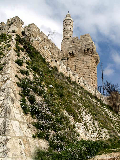   Неизвестный автор  — Башня Давида. Иерусалим