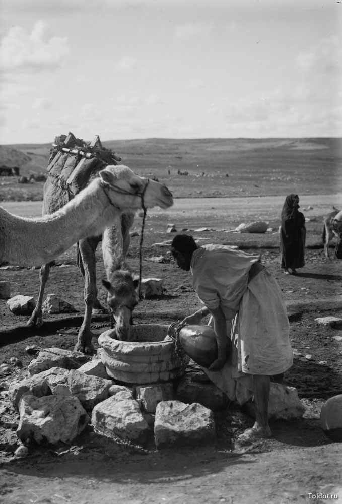   Неизвестный автор  — Путешественник наливает воду для своих верблюдов