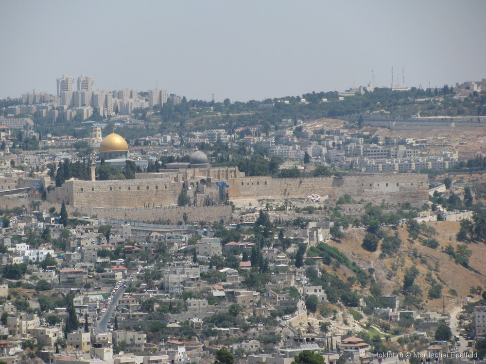  Мордехай Эпельфельд  — Вид на Иерусалим