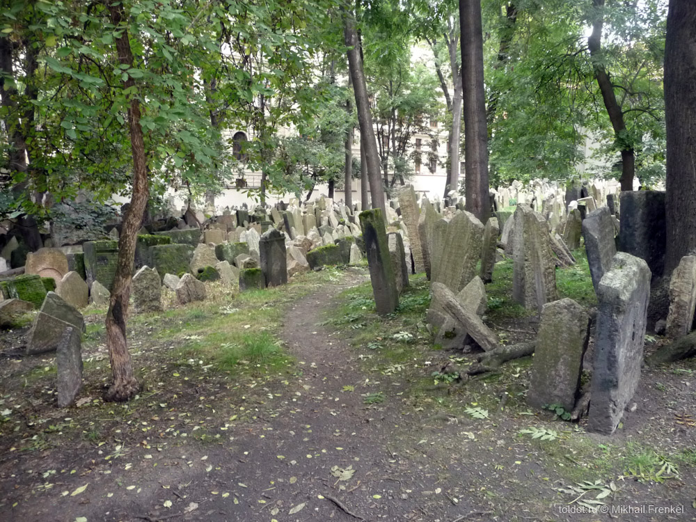  Михаил Френкель  — Тропинки старого еврейского кладбища Праги