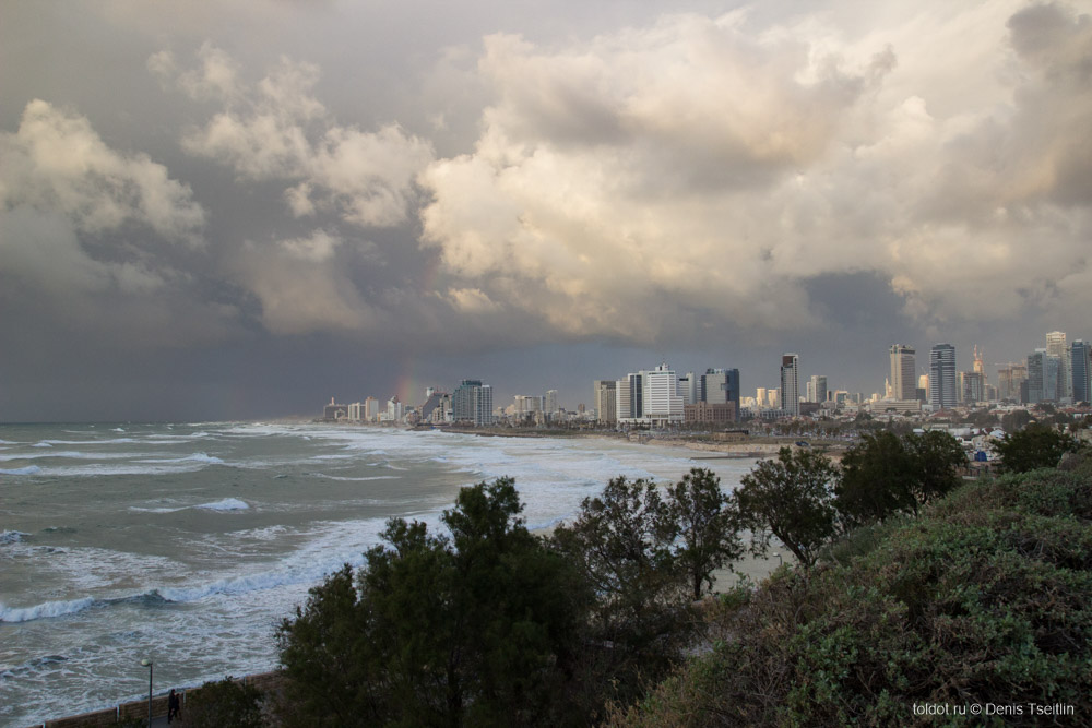  Денис Цейтлин  — Вид на Тель-Авив из Яффа