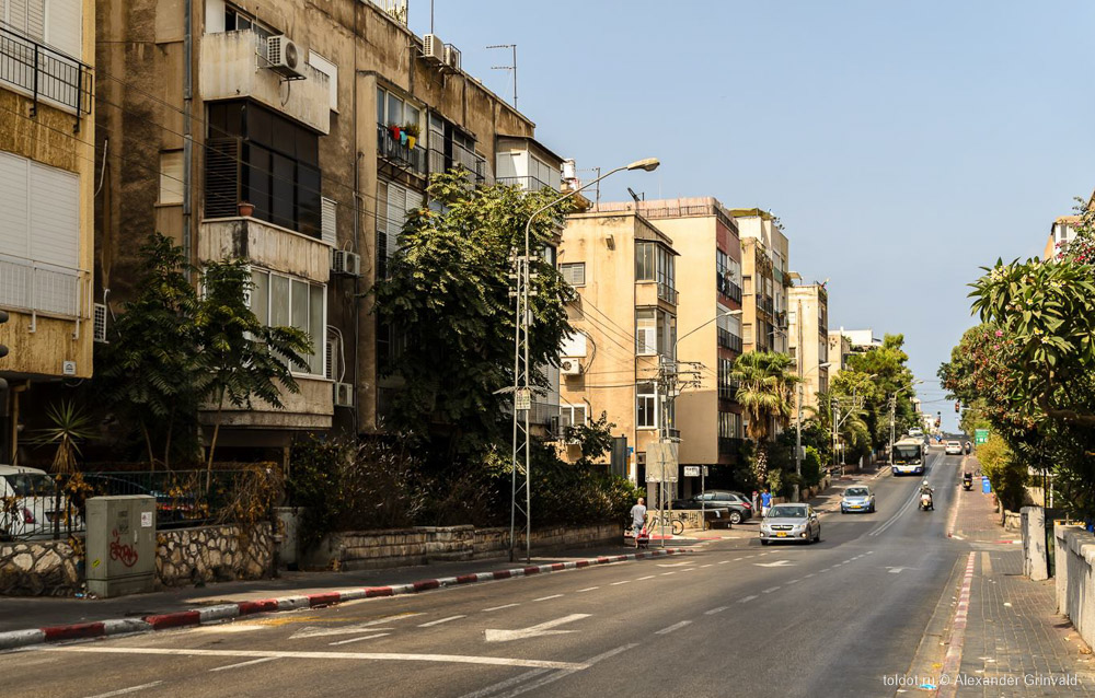  Александр Гринвальд  — Улица в Тель-Авиве в солнечный день