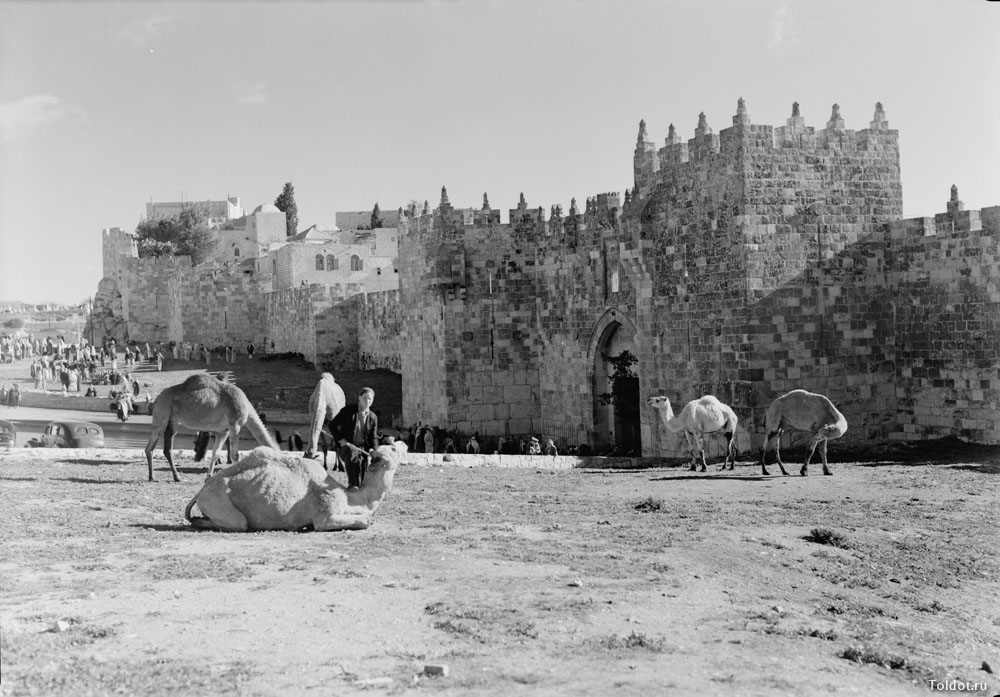   Неизвестный автор  — Иерусалим, Шхемские ворота