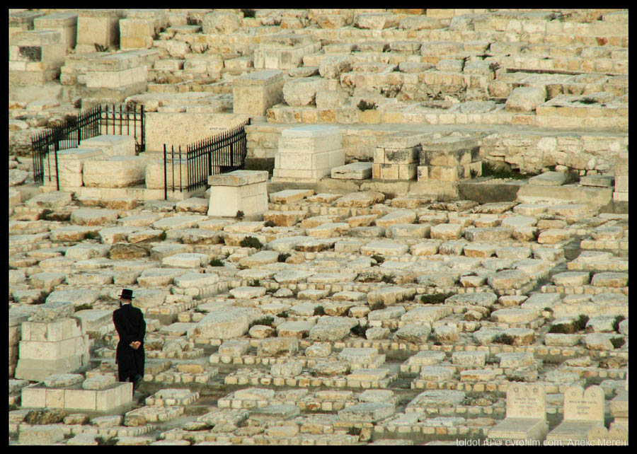  Алекс Меген  — Еврейское кладбище в Израиле