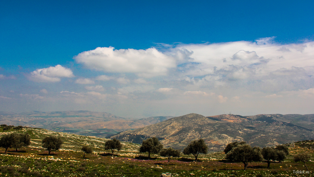 Рав Авраам Коэн  — Горы Галилеи