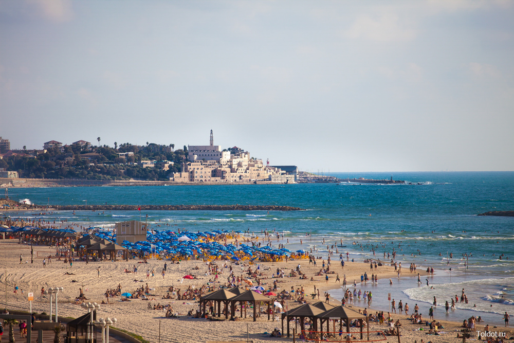   Израильское министерство туризма  — Пляж Тель Авива. Вид на старый порт Яффа