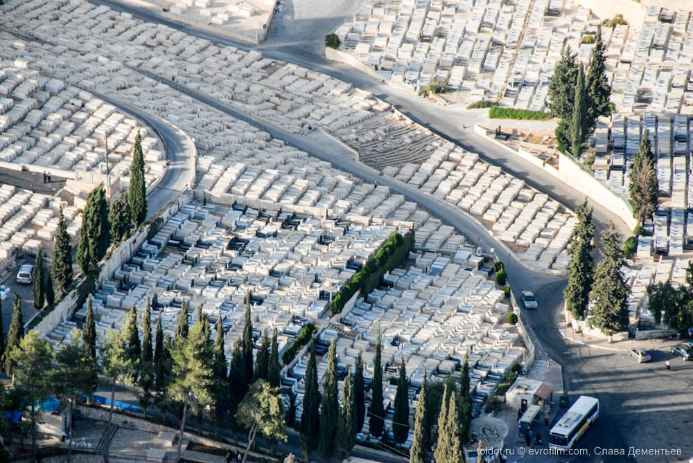  Слава Дементьев  — Еврейское кладбище на Масличной горе