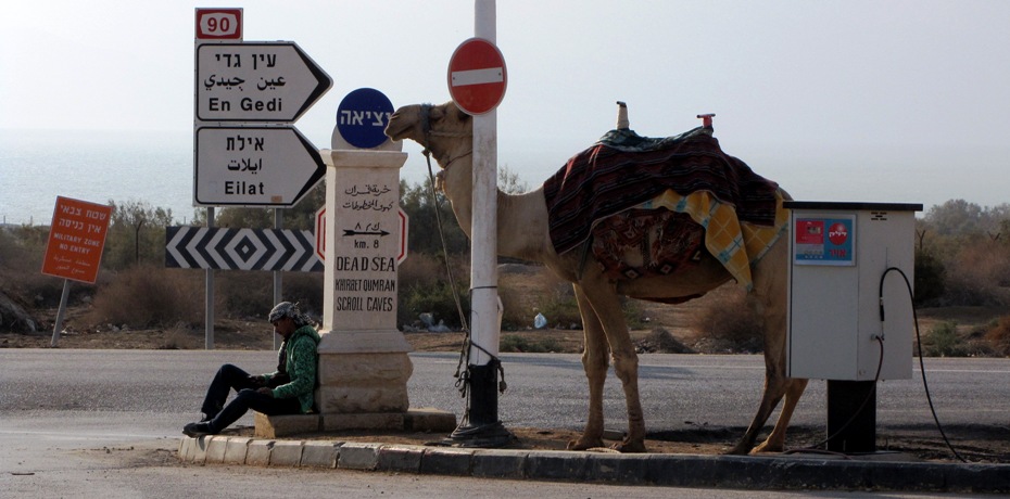 Бедуин у поворота на Мертвое море ждет туристические автобусы 