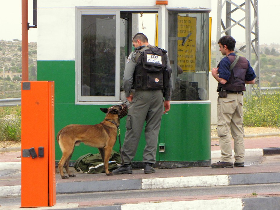 Собака-взрывчаткоискатель на границе с палестинцами